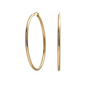 Stainless Steel Hoop Earings 